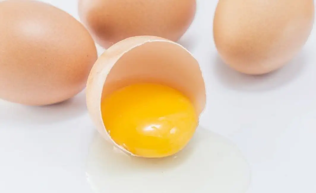 Comment Obtenir Une Bonne Couleur De Jaune D’oeuf