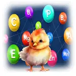 Incorporer Des Vitamines Et Des Minéraux Dans L’alimentation Des Poussin